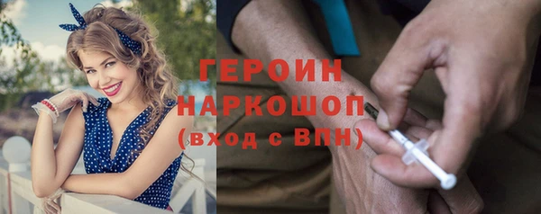 индика Гусев