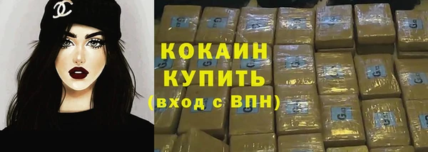 индика Гусев