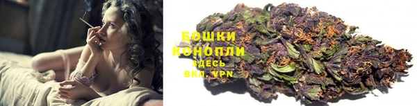 Альфа ПВП Дмитров