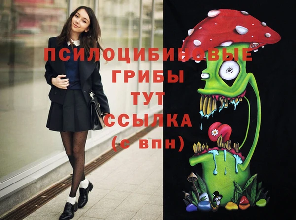 Альфа ПВП Дмитров