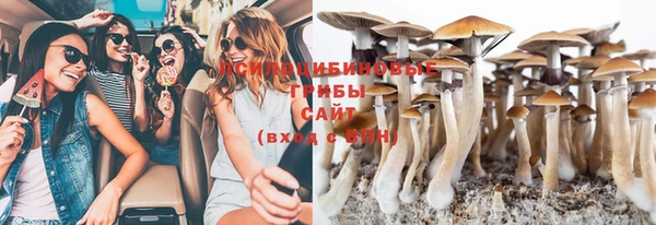 дурь Гусиноозёрск