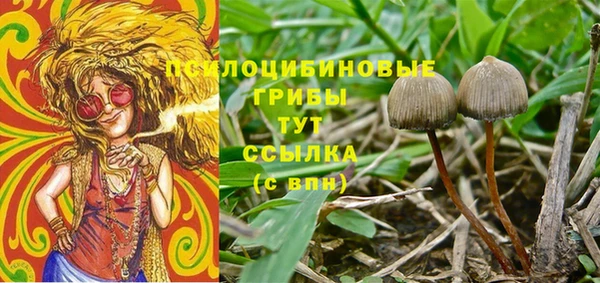 Альфа ПВП Дмитров