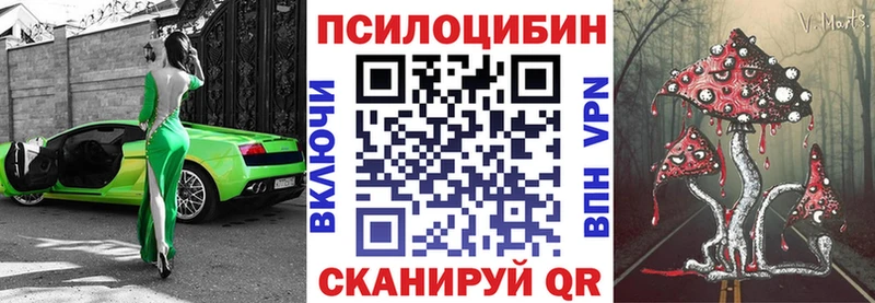 Купить закладки  Партизанск  Галлюциногенные грибы ЛСД 