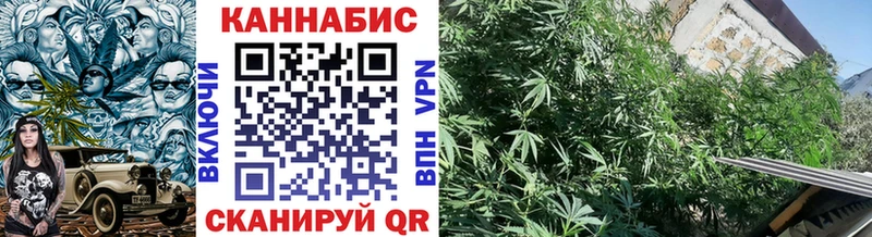 Купить где  Партизанск  Бошки марихуана ГИДРОПОН 